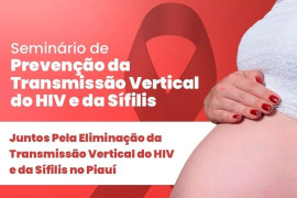Sesapi realiza seminário sobre prevenção da transmissão vertical de HIV e sífilis na sexta (6) Sesapi realiza seminário sobre prevenção da transmissão vertical de HIV e sífilis na sexta (6)